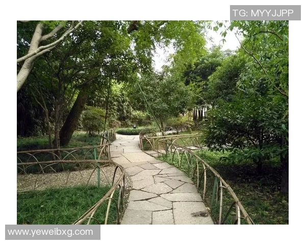 足球明星女友豪掷百万背后的爱情故事与生活揭秘