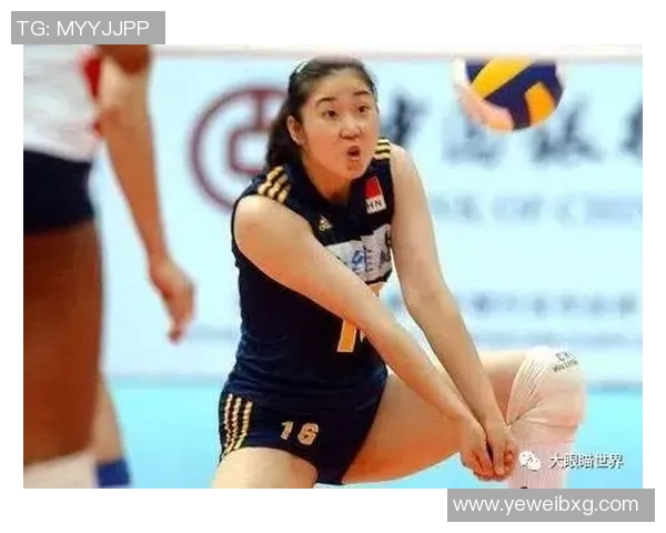 专访张娜：深入探讨她在排球领域取得成功的秘诀与心路历程