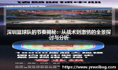 深圳篮球队的节奏揭秘：从战术到激情的全景探讨与分析